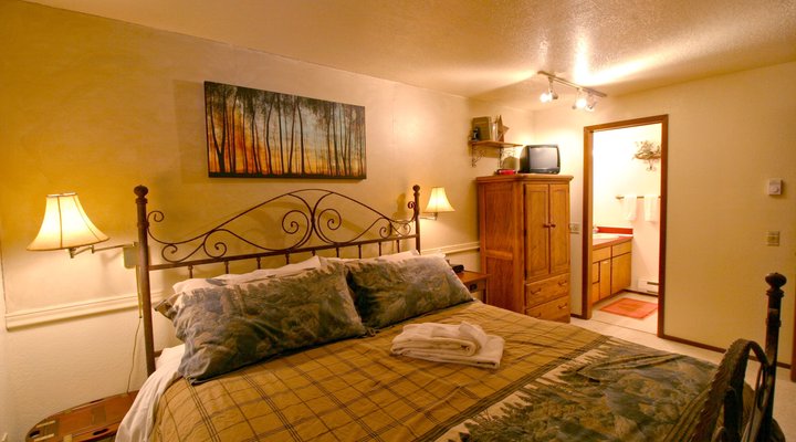 Snowline Cabin #23