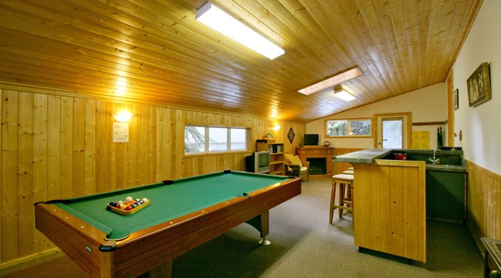 Snowline Cabin #23