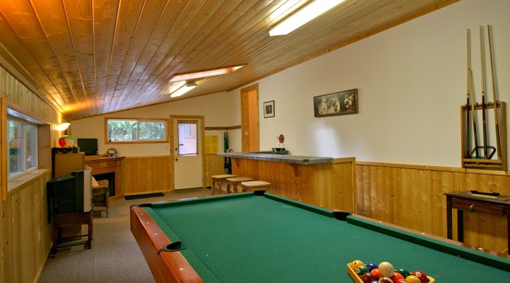 Snowline Cabin #23