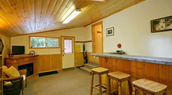 Snowline Cabin #23