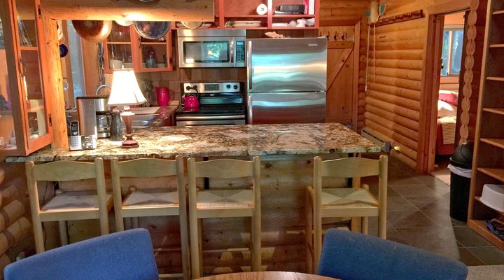 Mt. Baker Rim Cabin #43