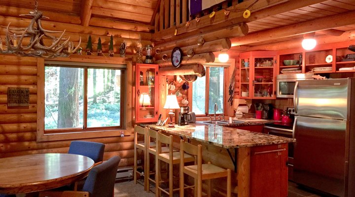 Mt. Baker Rim Cabin #43