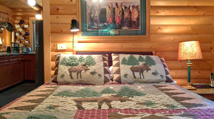 Mt. Baker Rim Cabin #43