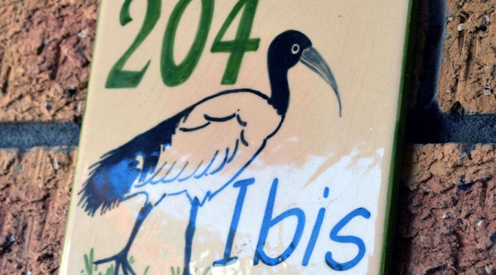 South Shore Beach Apartments Ibis 204