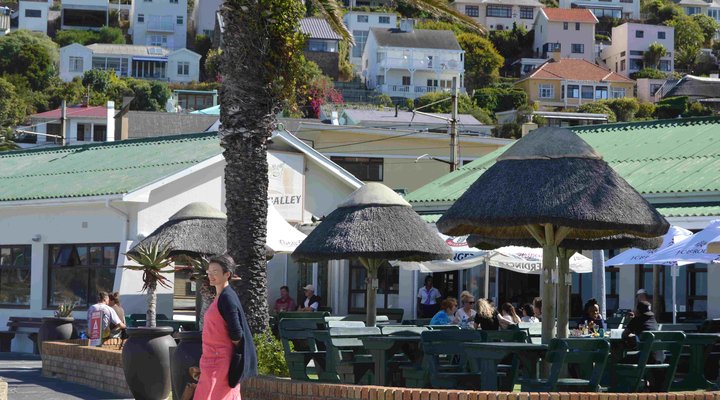 South Shore Beach Apartments Ibis 204