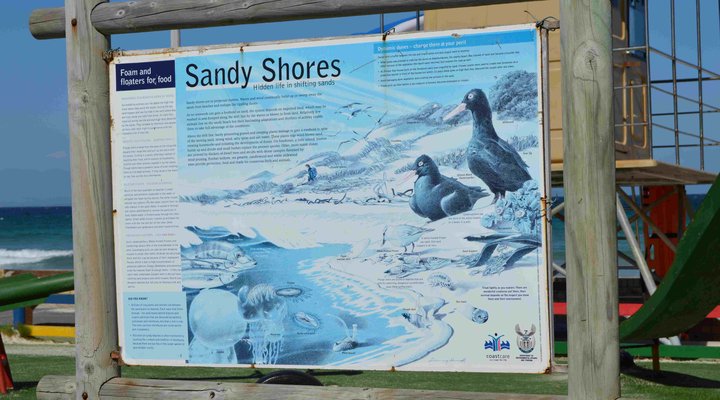 South Shore Beach Apartments Ibis 204