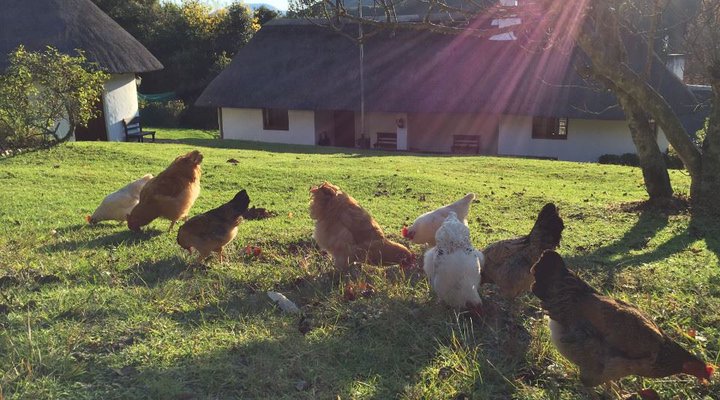 Bramleigh Farm