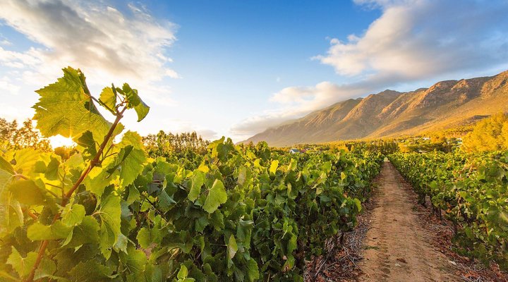 Klein Nektar Manor Accommodation