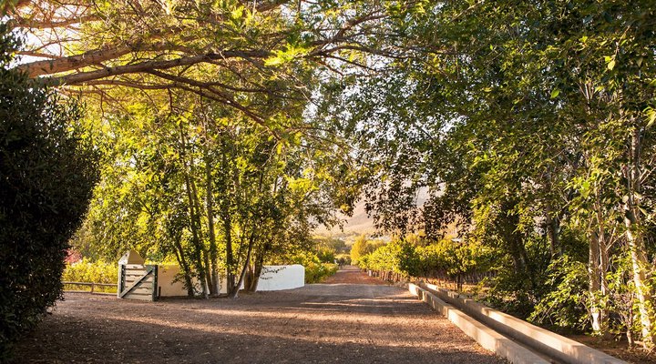Klein Nektar Manor Accommodation