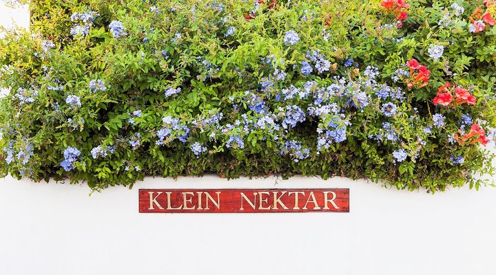 Klein Nektar Manor Accommodation