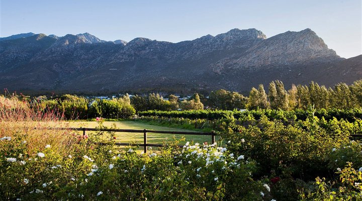 Klein Nektar Manor Accommodation