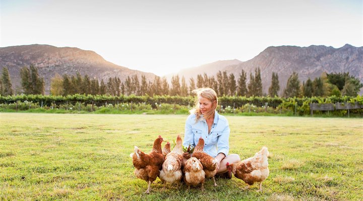 Klein Nektar Manor Accommodation