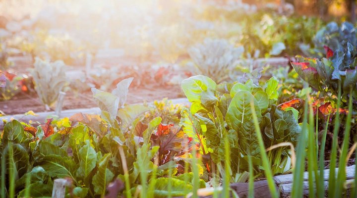 Klein Nektar Manor Accommodation