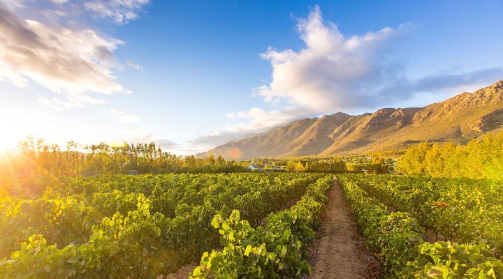 Klein Nektar Manor Accommodation