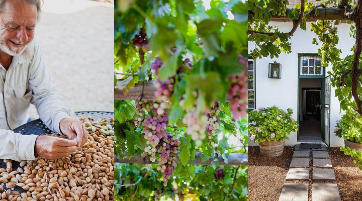 Klein Nektar Manor Accommodation