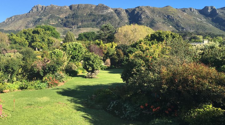 Cape Constantia