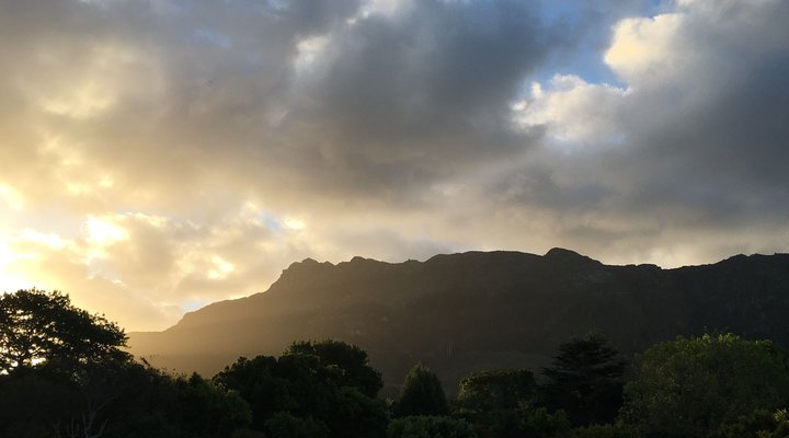 Cape Constantia