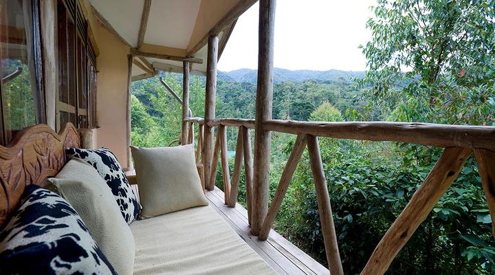 Gorilla Safari Lodge