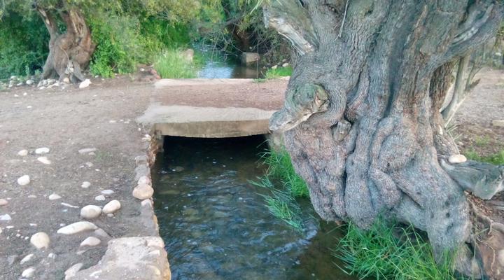 Grysbok Selfcatering Accommodation