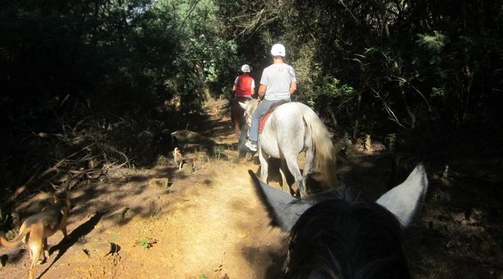  2 Night Stormy Hill Midlands Horse Trail Holiday