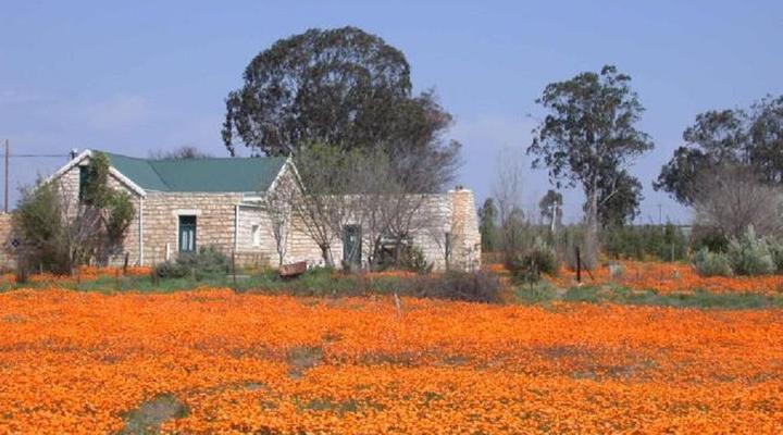 Van Zijl Guesthouses