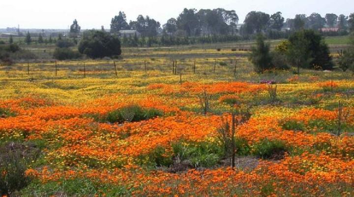 Van Zijl Guesthouses