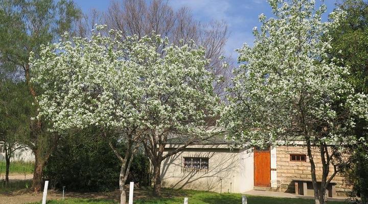 Van Zijl Guesthouses