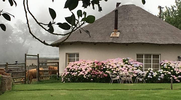 Glenfinlas Guest Cottage