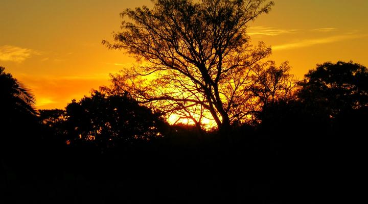 Donnybrook Guesthouse