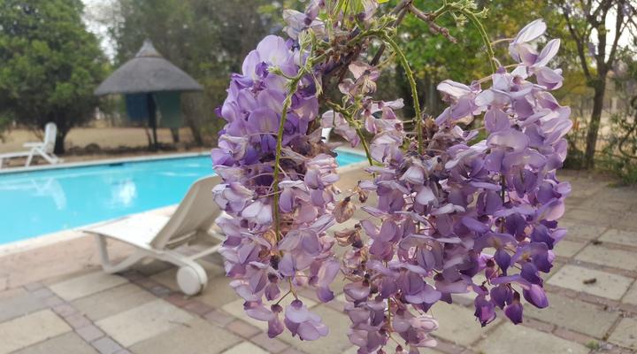 Donnybrook Guesthouse