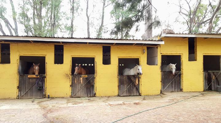 Donnybrook Guesthouse