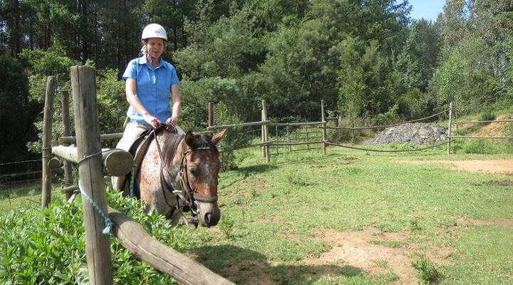 Stormy Hill 2 Day Introduction to Horses and Horse Riding in the Midlands, KZN