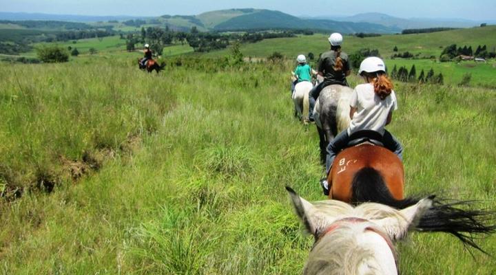 Stormy Hill 2 Day Introduction to Horses and Horse Riding in the Midlands, KZN