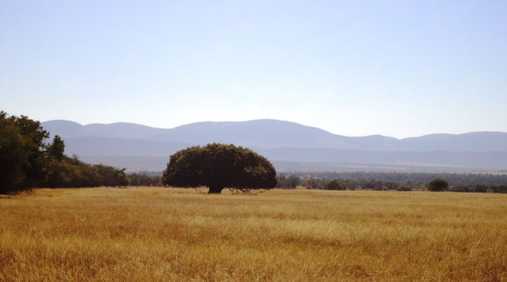 Khaya Nkwe Game & Guest Farm