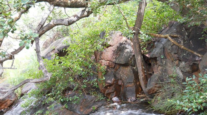 Khaya Nkwe Game & Guest Farm