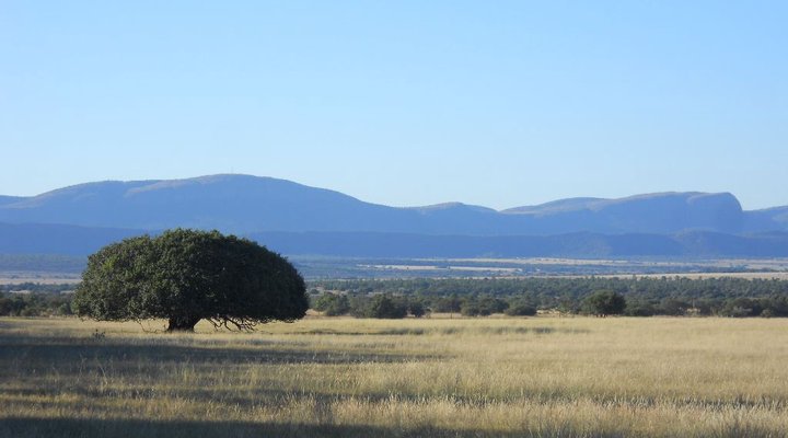 Khaya Nkwe Game & Guest Farm