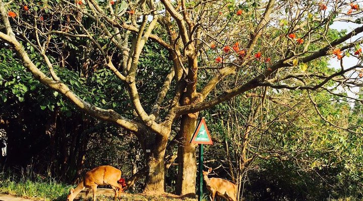 Family Home In Secure Estate