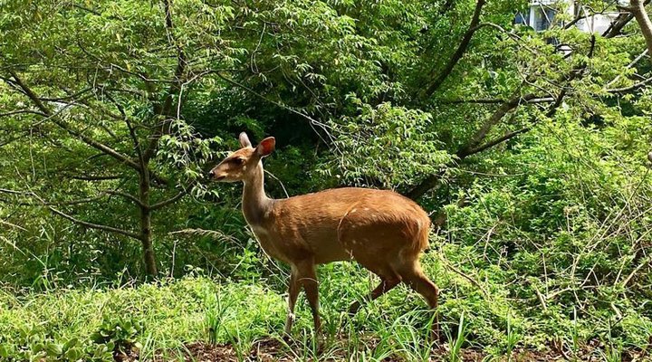 Family Home In Secure Estate