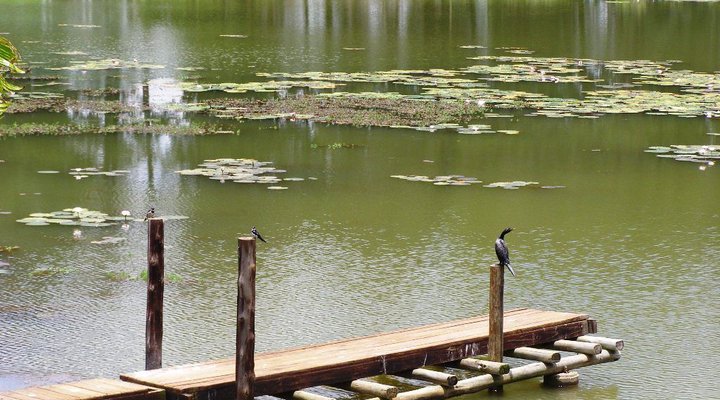 Stonechat Self Catering Cottages