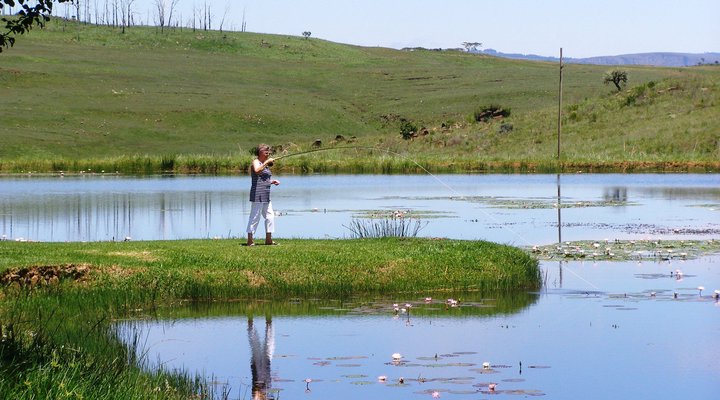 Stonechat Self Catering Cottages