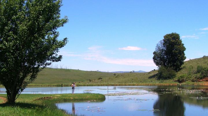 Stonechat Caravan Park