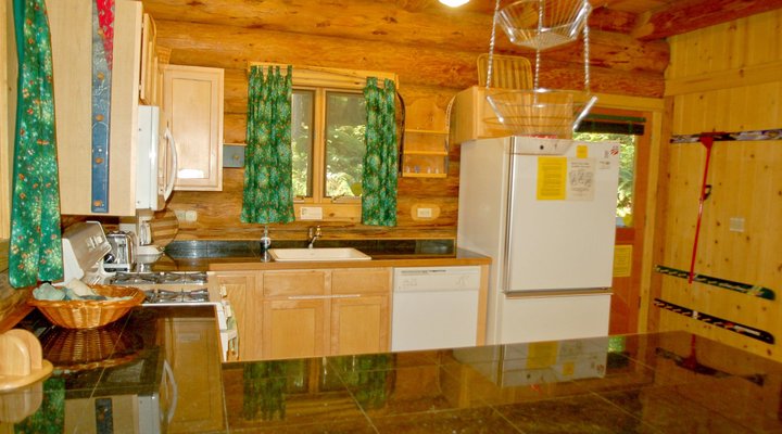Snowline Cabin #47