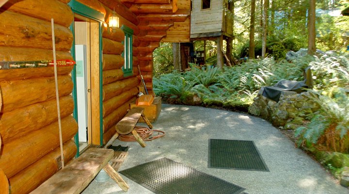 Snowline Cabin #47