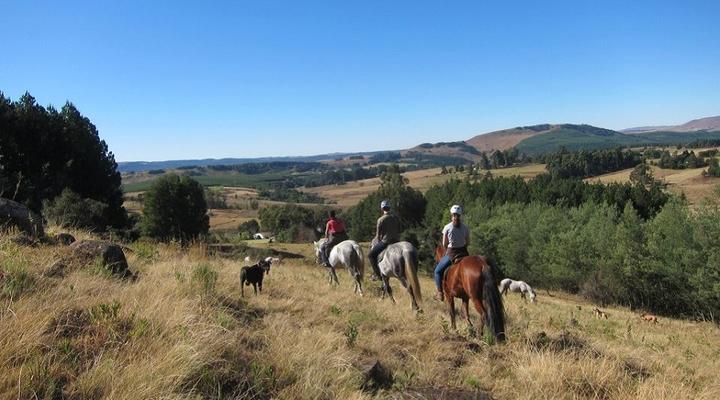 Stormy Hill Horse Trail Holiday in the Midlands KZN