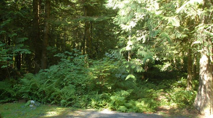 #67 Silver Lake Cabin