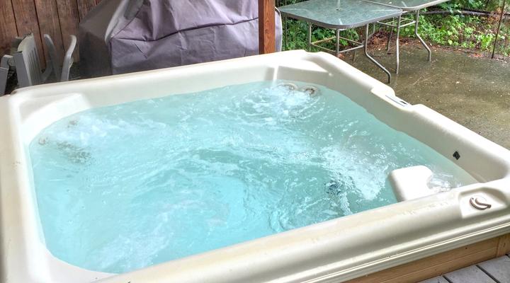 #70 Mt. Baker Rim Cabin