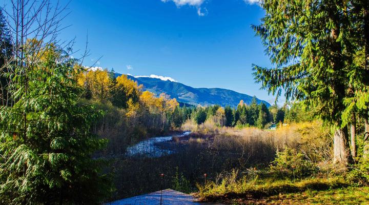 #70 Mt. Baker Rim Cabin