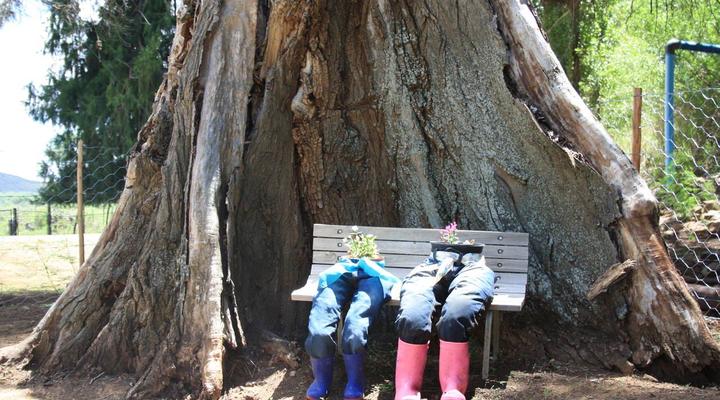 Asemskep Guest Farm / Gastehuis