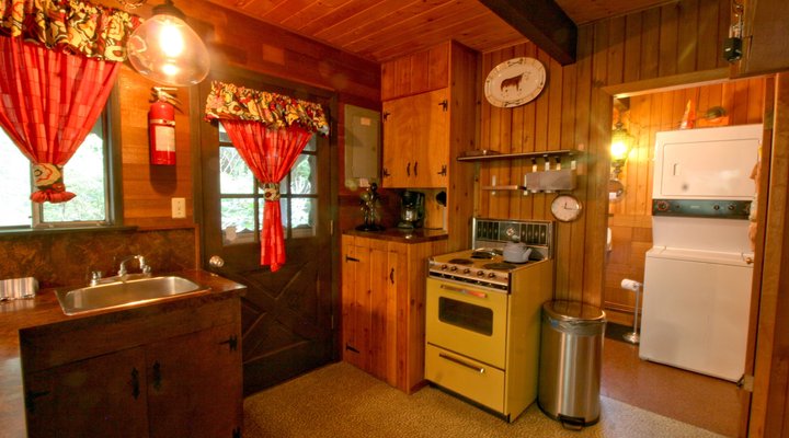 Snowline Cabin #73