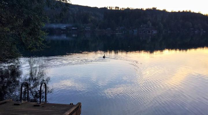 #97 Maple Falls Cabin